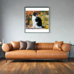 Zwart witte kat in de tuin als sfeerimpressie aan de muur