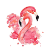 2flamingos samen