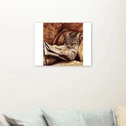 Lezende kat als sfeerimpressie aan de muur