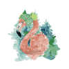 Flamingo in de natuur