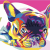 Kleurrijke Franse bulldog