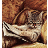 Lezende kat