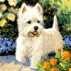 Lief hondje in de tuin