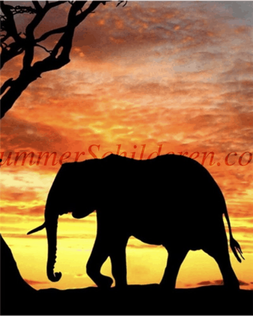 olifant in ondergaande zon