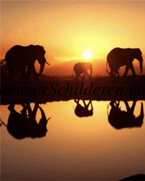 olifanten langs het water gespiegeld