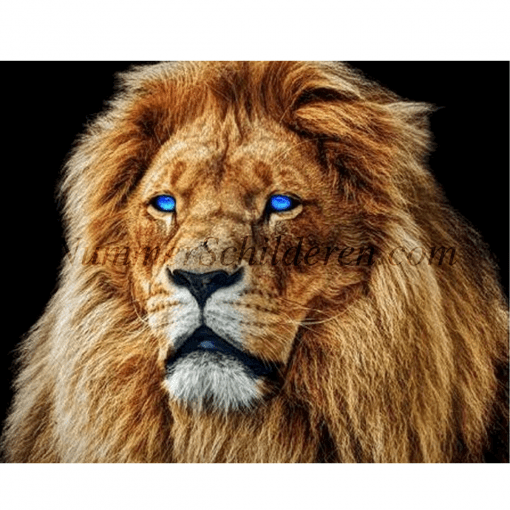 prachtige leeuw met blauwe ogen