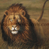 Stoere leeuw