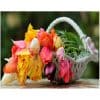 Tulpen in mand