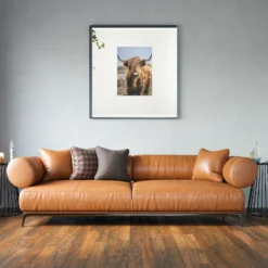 Schilderen op nummer Schotse hooglander – Portret van de bijzondere Schotse hooglander als sfeerimpressie aan de muur