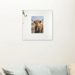 Schilderen op nummer Schotse hooglander – Portret van de bijzondere Schotse hooglander als sfeerimpressie aan de muur