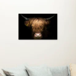Schotse hooglander schilderen op nummer als sfeerimpressie aan de muur