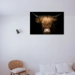 Schotse hooglander schilderen op nummer als sfeerimpressie aan de muur