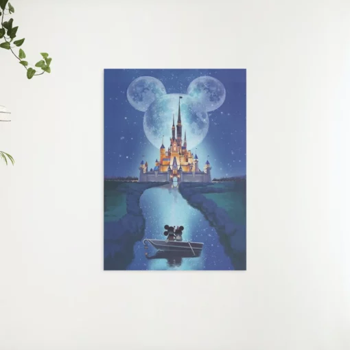 Schilderen op nummer – Disney Kasteel – SEOS Shop ®