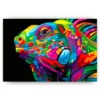 Schilderen op nummer – Hagedis – SEOS Shop ®