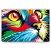 Schilderen op nummer – Katten ogen – SEOS Shop ®
