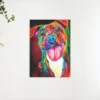 Schilderen op nummer – Kleurrijke hond – SEOS Shop ®