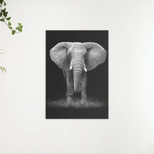 Schilderen op nummer – Olifant – SEOS Shop ®