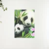 Schilderen op nummer – Panda’s ontmoeten Bloem – SEOS Shop ®
