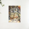 Schilderen op nummer – Schrijver Uil – SEOS Shop ®