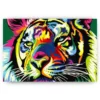 Schilderen op nummer – Tijger – SEOS Shop ®