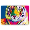 Schilderen op nummer – Tijger – SEOS Shop ®