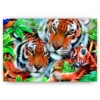 Schilderen op nummer – Tijgers Familie – SEOS Shop ®