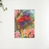 Schilderen op nummer – Twee Leuke Papegaai – SEOS Shop ®