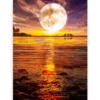 Schilderen op nummer – Volle maan – SEOS Shop ®
