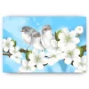 Schilderen op nummer – Achtertuin Vogels – SEOS Shop ®