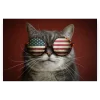 Schilderen op nummer – Amerikaanse Kat – SEOS Shop ®