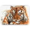 Schilderen op nummer – Amoer Tijger – SEOS Shop ®