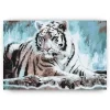 Schilderen op nummer – Bengaalse tijger – SEOS Shop ®