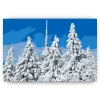 Schilderen op nummer – Besneeuwde Jested – SEOS Shop ®