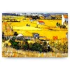 Schilderen op nummer – Boeren landschap Van Gogh – SEOS Shop ®