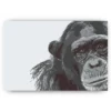 Schilderen op nummer – Chimp – SEOS Shop ®