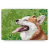 Schilderen op nummer – Corgi – SEOS Shop ®