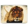 Schilderen op nummer – De leeuwenwacht – SEOS Shop ®