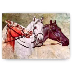 Schilderen op nummer – Drie Paarden – SEOS Shop ®