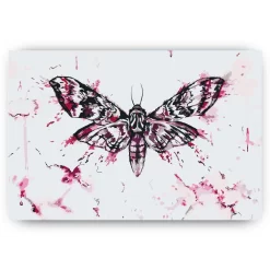 Schilderen op nummer – Een vlinder schilderen – SEOS Shop ®