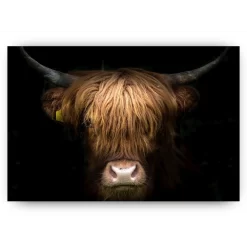 Schilderen op nummer Schotse hooglander – Fantastisch portret van een Schotse hooglander – SEOS Shop ®