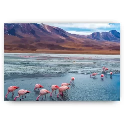 Schilderen op nummer – Flamingos in Bolivien – SEOS Shop ®
