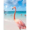 Schilderen op nummer – Flamingo’s op het strand – SEOS Shop ®