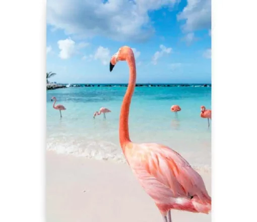 Schilderen op nummer – Flamingo’s op het strand – SEOS Shop ®