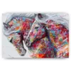Schilderen op nummer – Gekleurd paard – SEOS Shop ®