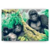 Schilderen op nummer – Gorilla familie – SEOS Shop ®
