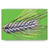 Schilderen op nummer – Graan – SEOS Shop ®