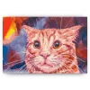 Schilderen op nummer – Grappige Kat – SEOS Shop ®