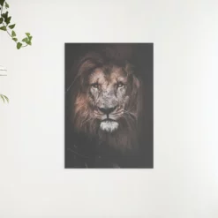 Schilderen op nummer – Grote leeuw – SEOS Shop ®