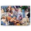 Schilderen op nummer – Honden Groepen – SEOS Shop ®