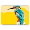 Schilderen op nummer – Januari – SEOS Shop ®
